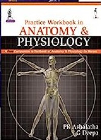 Anatomy & Physiology ; Practice Workbook