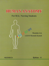 Human Anatomy