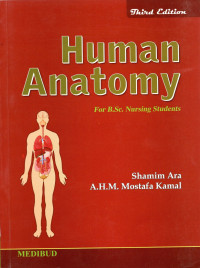 Human Anatomy