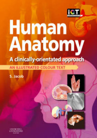 Human Anatomy: A clinically-oriented approach