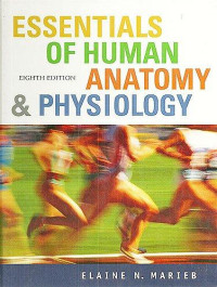 Essentials of Human Anatomy & Physiology