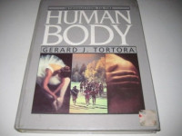 Introduction to the human body