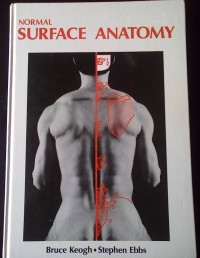 Normal surface anatomy