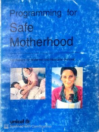 Programming for Safe Motherhood